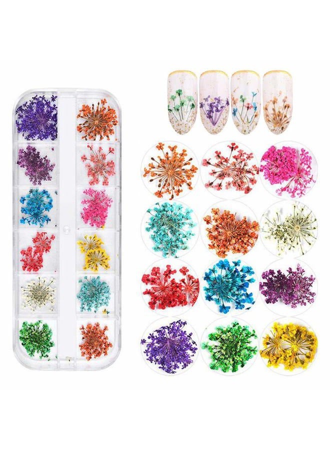KingMas 12 Colors Dried Flowers for Nail Art, 1 Box Dry Flowers Mini Real Natural Flowers Nail Art Supplies 3D Applique Nail Decoration Sticker Decor (A) - Image 1