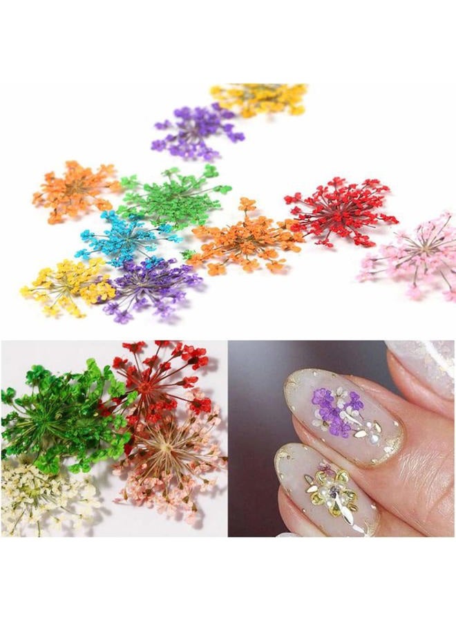 KingMas 12 Colors Dried Flowers for Nail Art, 1 Box Dry Flowers Mini Real Natural Flowers Nail Art Supplies 3D Applique Nail Decoration Sticker Decor (A) - Image 5