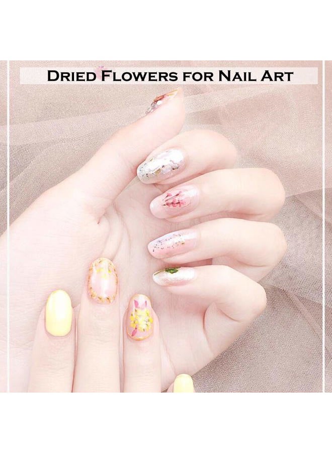 KingMas 12 Colors Dried Flowers for Nail Art, 1 Box Dry Flowers Mini Real Natural Flowers Nail Art Supplies 3D Applique Nail Decoration Sticker Decor (A) - Image 3
