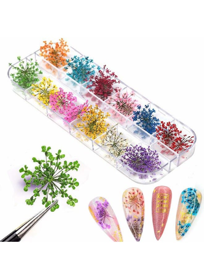 KingMas 12 Colors Dried Flowers for Nail Art, 1 Box Dry Flowers Mini Real Natural Flowers Nail Art Supplies 3D Applique Nail Decoration Sticker Decor (A) - Image 2