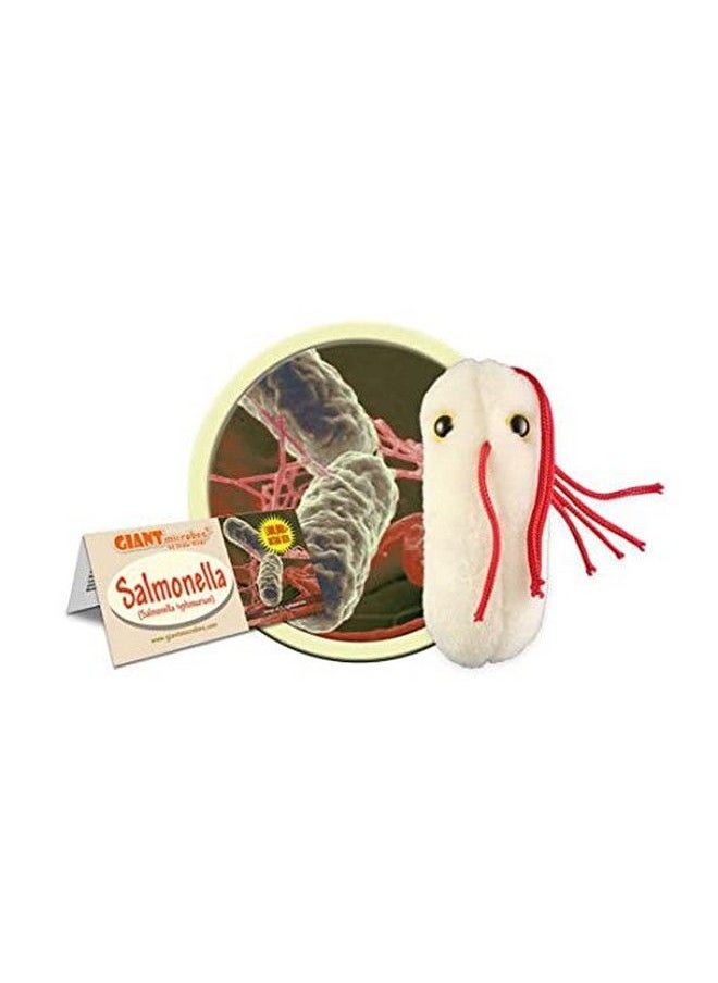 Giant Microbes دميّة سلمونيلا العملاقة للتعلم عن بكتيريا سلامة الأغذية وصحة الأمعاء مع هذه الهدية الممتعة الفريدة للأصدقاء والعائلات والمعلمين والمطعمين والأطباء وأطباء الجهاز الهضمي والطلاب والعلماء  - Image 2