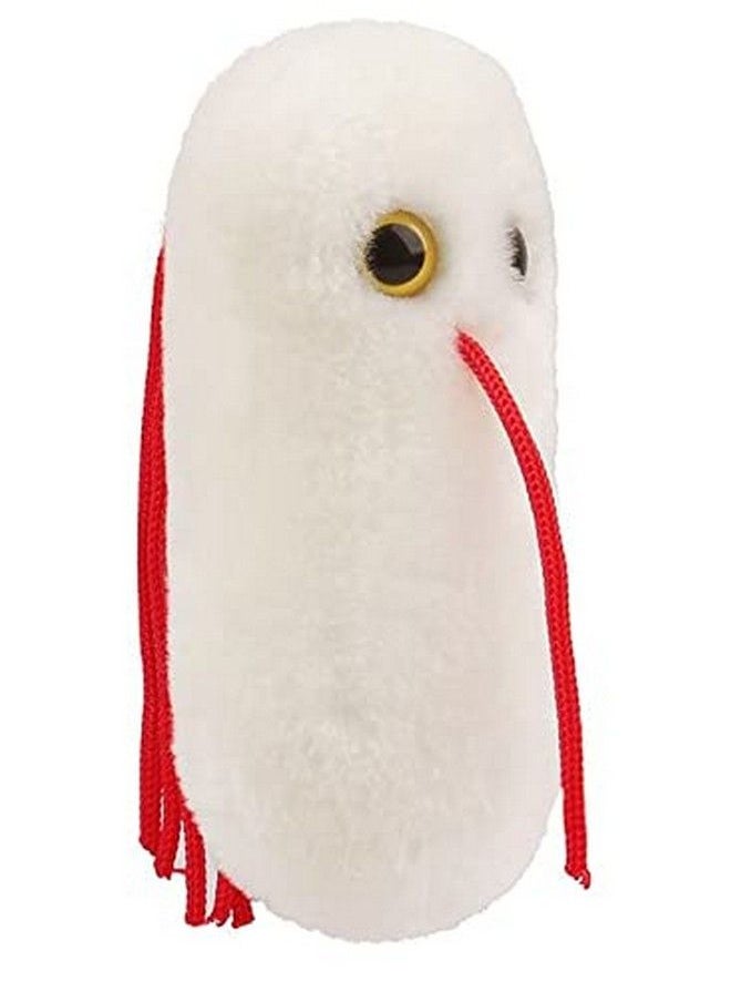 Giant Microbes دميّة سلمونيلا العملاقة للتعلم عن بكتيريا سلامة الأغذية وصحة الأمعاء مع هذه الهدية الممتعة الفريدة للأصدقاء والعائلات والمعلمين والمطعمين والأطباء وأطباء الجهاز الهضمي والطلاب والعلماء  - Image 4