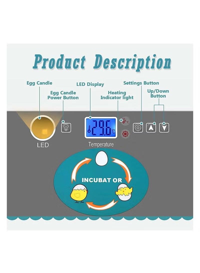 شو وو حاضنة البيض، فقاسة الدواجن مع شاشة LED، معدات حضانة أوتوماتيكية لتفقيس الدجاج والبط والأوز والسمان والحمام  - Image 3