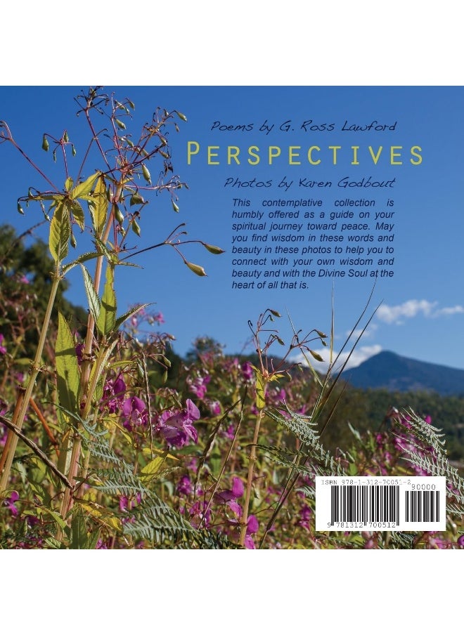 Perspectives  - Image 2