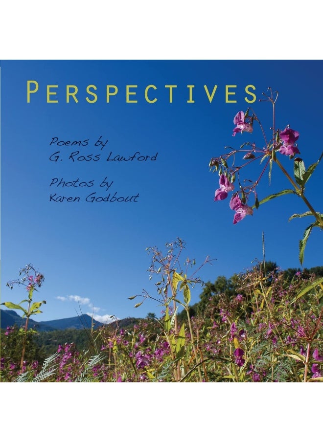 Perspectives  - Image 1