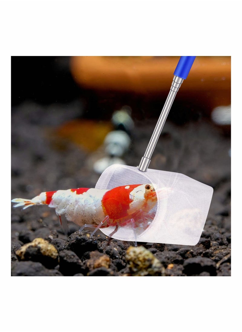 Generic - 4 Pieces Fish Tank Shrimp Net Extendable Handle Shrimp Net Aquarium Stainless Steel Small Fishing Net Fish Shrimp Skimming Net with Adjustable Handle for Aquarium Fish Tank Pond Creek - Image 1