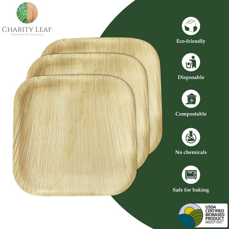 Charity Leaf Disposable Palm Leaf 7"" Square Plates (50 pieces) Bamboo Like Serving Platters  Disposable Boards  Eco-Friendly Dinnerware For Weddings  Catering  Events - Image 2
