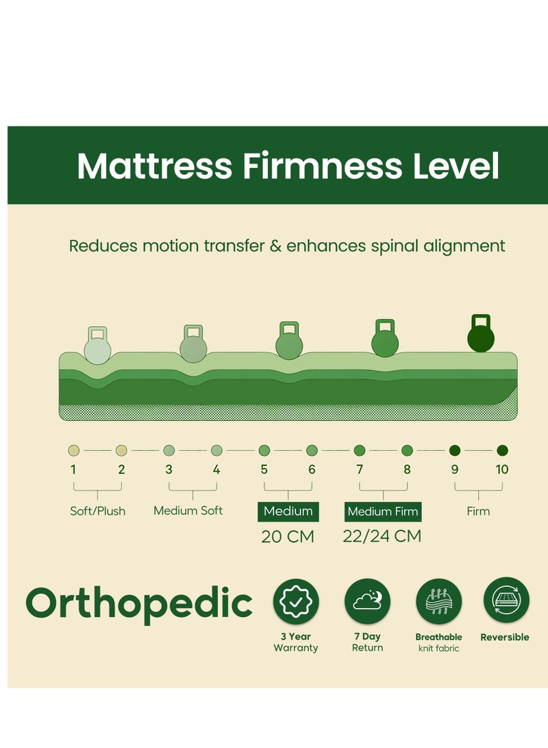 EASELIVING مرتبة أورثوبيديك بحجم كوين - مرتبة متوسطة الصلابة بسُمك 24 سم مع قماش قابل للتهوية | مرتبة أورثو بنيل قابلة للعكس مع تخفيف الضغط لجميع أوضاع النوم | ضمان 3 سنوات (150 × 200 سم) - Image 4