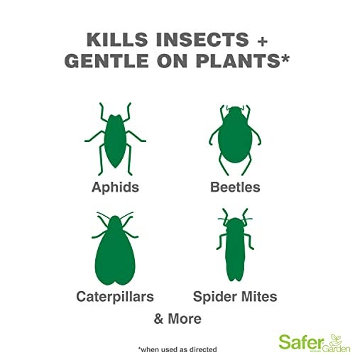 Safer Brand Garden SG5110 Insect Control and Killer Spray – Kills Aphids Beetles, Boxelder Bugs, Caterpillars, Earwigs, Spider Mites, Stink Bugs & More – Natural Oils Gentle on Plants – 24 fl oz - Image 2