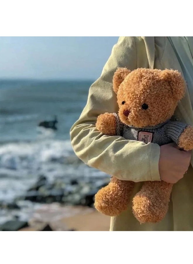 حيوانات محشوة على شكل دب تيدي، لعبة دب تيدي من القطيفة بطول 30 سم، هدية عيد ميلاد وعيد الحب (رمادي) - Image 5