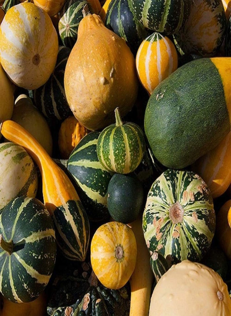 GGOOT Small Fruited Gourd Mixed - Cucurbita Pepo Vegetable Seeds, Ornamental Squash Mixed Home Garden Planting by Heavy Torch, 45 Seeds