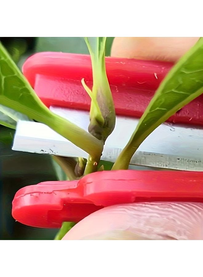 4 Pieces Red Ergonomic Gardening Scissors For Precise Pruning Vegetables Herbs Bonsai - Image 5