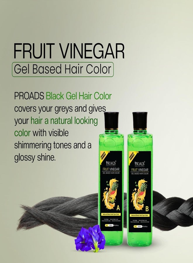 PRO ADS PROADS Black Hair Color Gel with Fruit Vinegar | 10-Min Quick Hair Dye for Men & Women | Long-Lasting, Natural Look | No Drip, Mess-Free Gel Hair Color (500mlX2) - Image 3