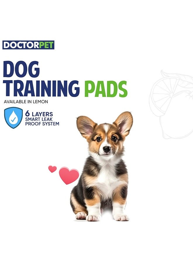 DoctorPet Training Pads Lemon Scent Cat And Dog- 30 Pads - Image 3