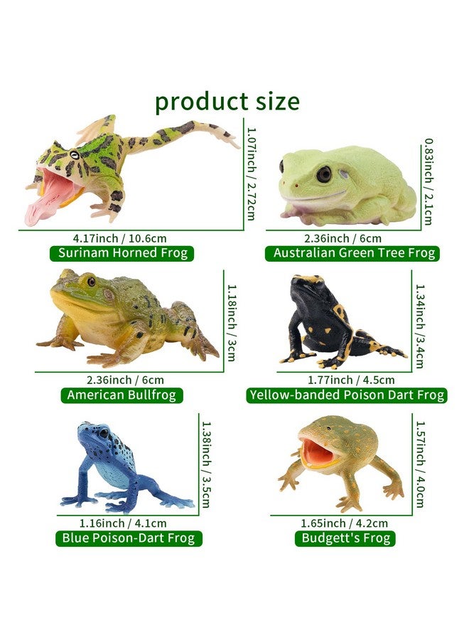 Toymany Frog Toy Figures, Plastic Rainforest Woodland Animals Toy Frogs Set with Realistic Poison Dart Frog, Cake Topper Party Favor Garden Flowerpot Plants Decor - Image 4