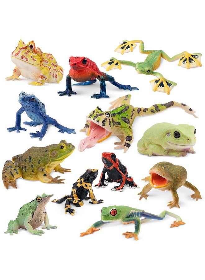 Toymany Frog Toy Figures, Plastic Rainforest Woodland Animals Toy Frogs Set with Realistic Poison Dart Frog, Cake Topper Party Favor Garden Flowerpot Plants Decor - Image 1