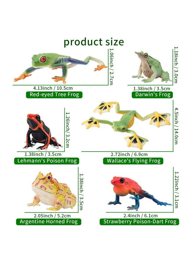 Toymany Frog Toy Figures, Plastic Rainforest Woodland Animals Toy Frogs Set with Realistic Poison Dart Frog, Cake Topper Party Favor Garden Flowerpot Plants Decor - Image 5