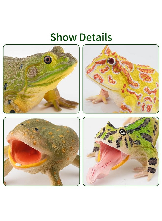 Toymany Frog Toy Figures, Plastic Rainforest Woodland Animals Toy Frogs Set with Realistic Poison Dart Frog, Cake Topper Party Favor Garden Flowerpot Plants Decor - Image 2