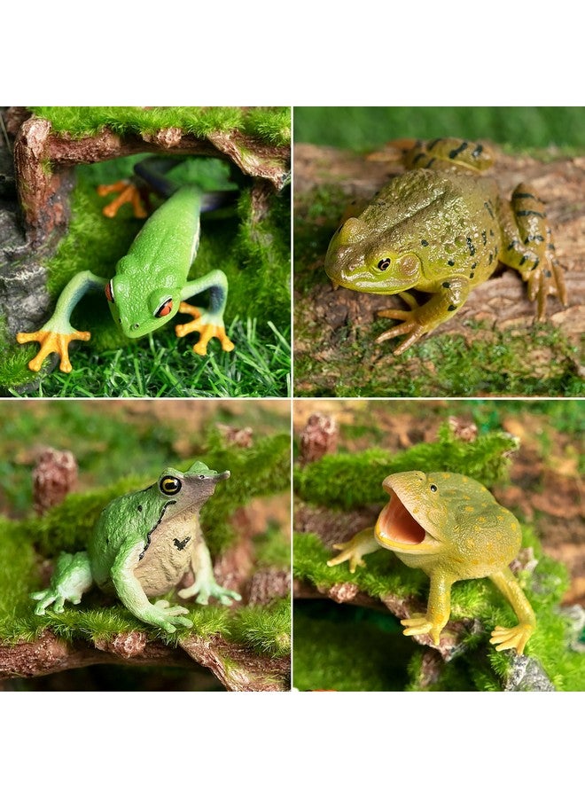 Toymany Frog Toy Figures, Plastic Rainforest Woodland Animals Toy Frogs Set with Realistic Poison Dart Frog, Cake Topper Party Favor Garden Flowerpot Plants Decor - Image 3