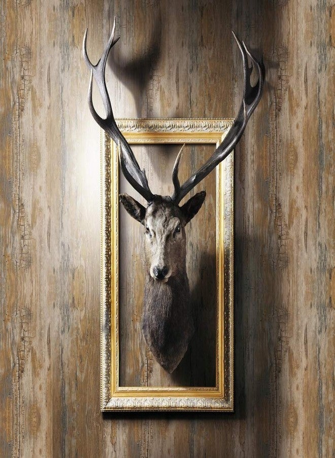 دي-سي-فكس فيلم لاصق ذاتي مزخرف من دي سي-فيكس، بنمط ريفي، لفة مقاس 26 بوصة × 78 بوصة، عبوة من قطعتين - Image 3