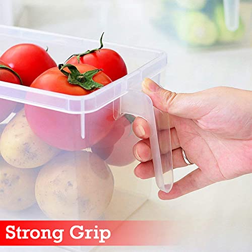 Kitchen ware Kitchenware Fridge Storage Pack of 1 Refrigerator Organizer Container Square Handle Food Storage Organizer Boxes - Clear with Lid, Handle and Without 3 Smaller Bins - Image 3