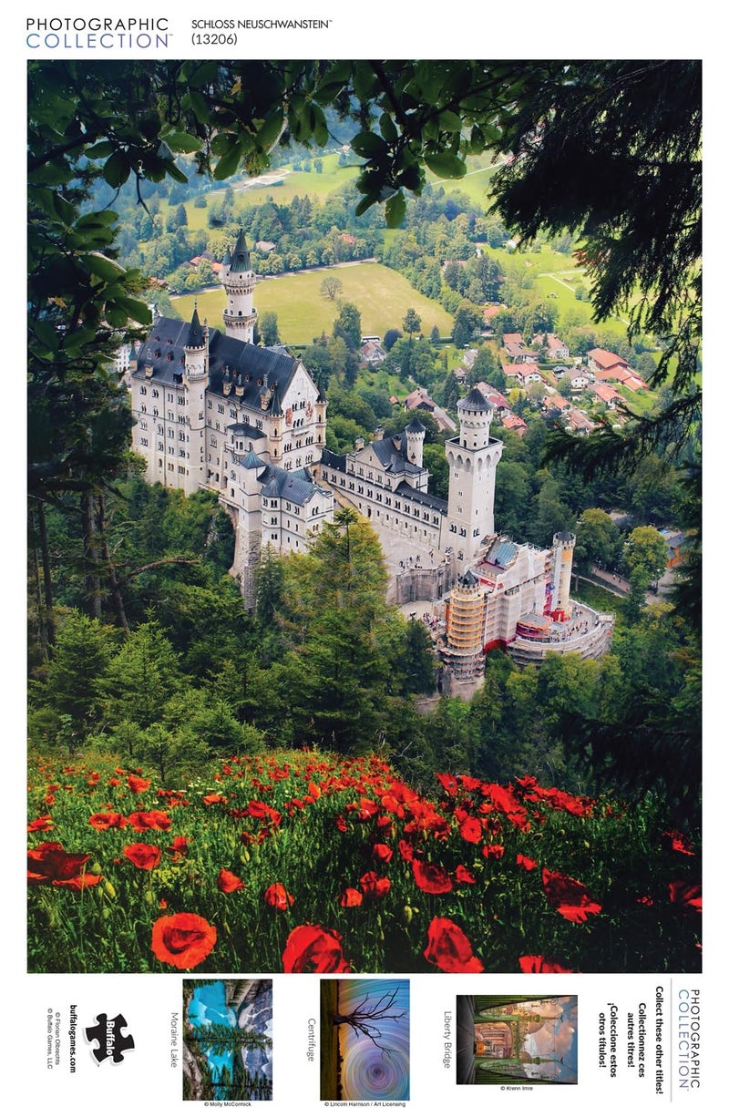 Buffalo Games - Florian Olbrechts - Schloss Neuschwanstein - 1000 Piece Jigsaw Puzzle for Adults -Challenging Puzzle Perfect for Game Nights - Finished Size is 26.75 x 19.75 - Image 5