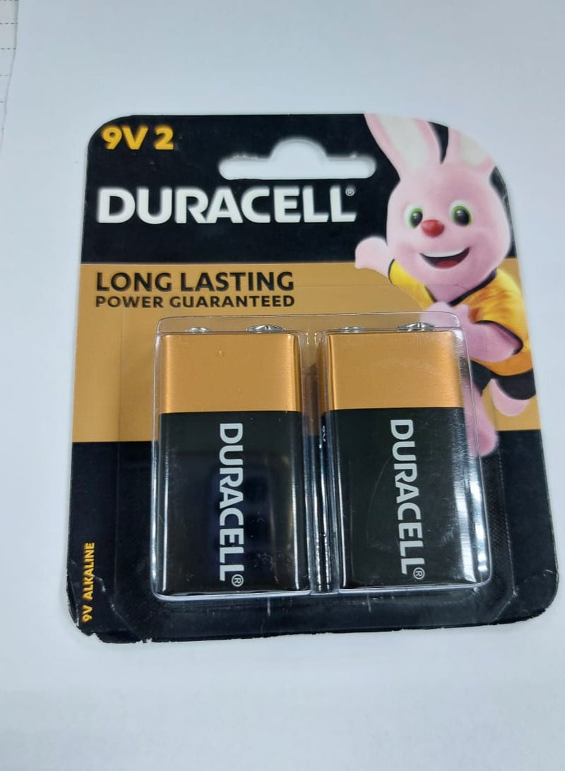 Duracell DURACELL 2 - Piece 9V 2 Long Lasting Batteries Multicolour 