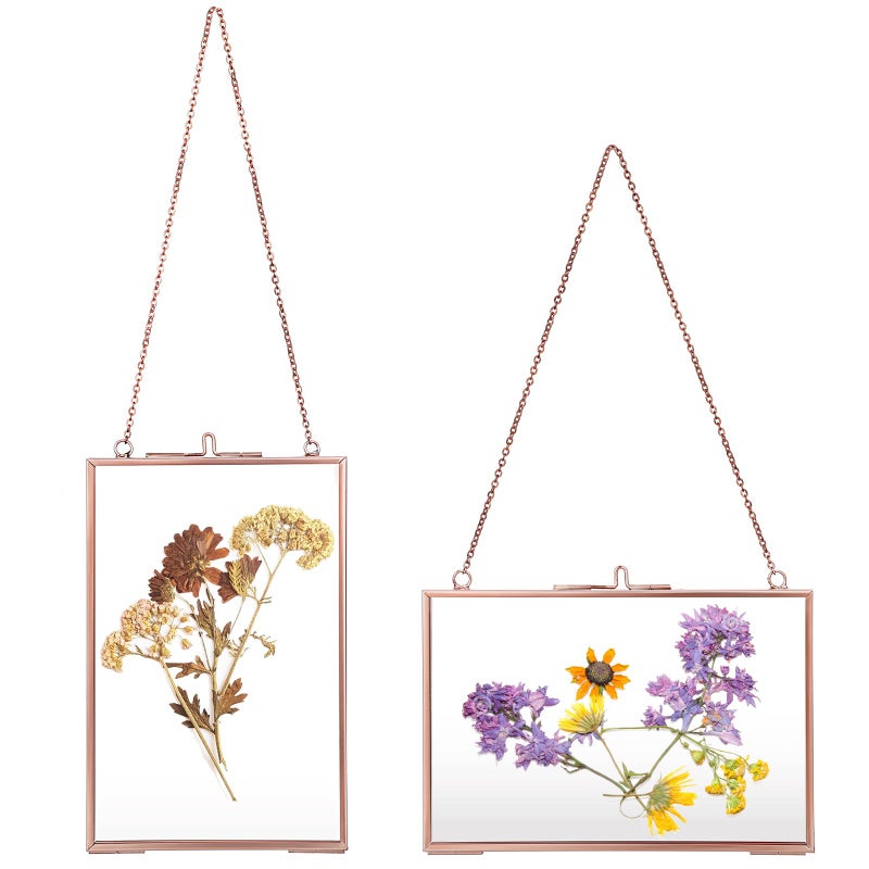 JUXYES Set of 2 Brass Wall Hanging Photo Frame Glass Hanging Picture Artwork Display Frame Double Glass Floating Frame Style Gallery Wall Frame for Photo Picture Poster etc