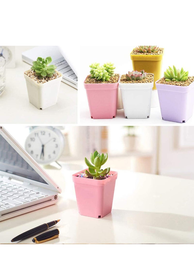 Barakah أصص نباتات بلاستيكية، مشتل شتلات مع أطباق و 3 أدوات حديقة صغيرة، حاوية نباتات عصارية، ديكور غرفة، مكتب، شرفة، متعددة الألوان 24 حزمة 3 بوصة - Image 3