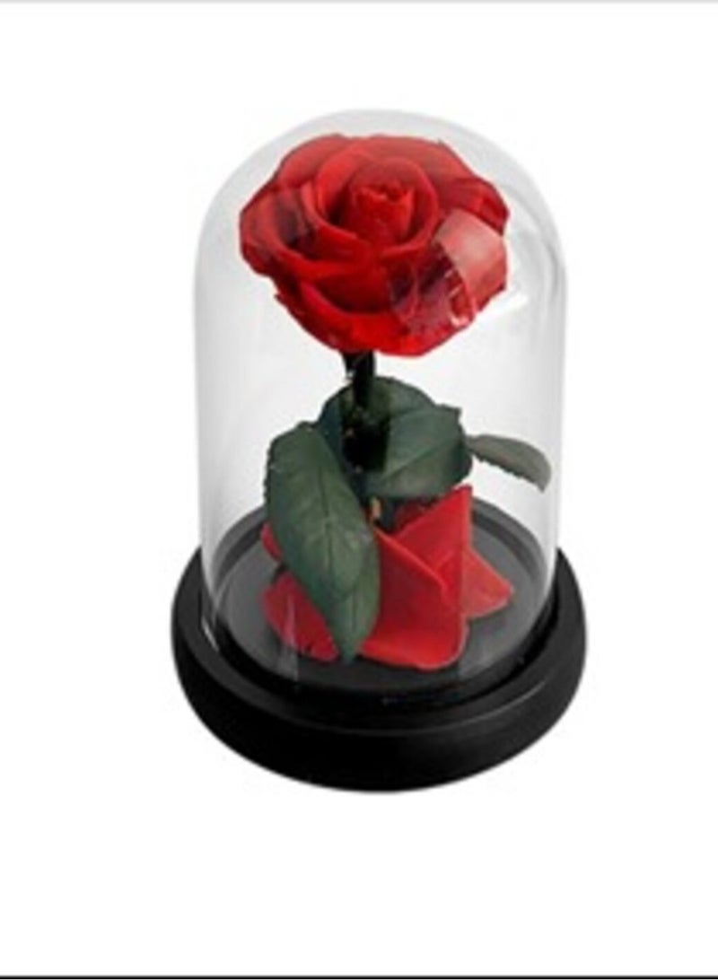 وردي وردة إنفينيتي حمراء صغيرة في قبة - Image 1