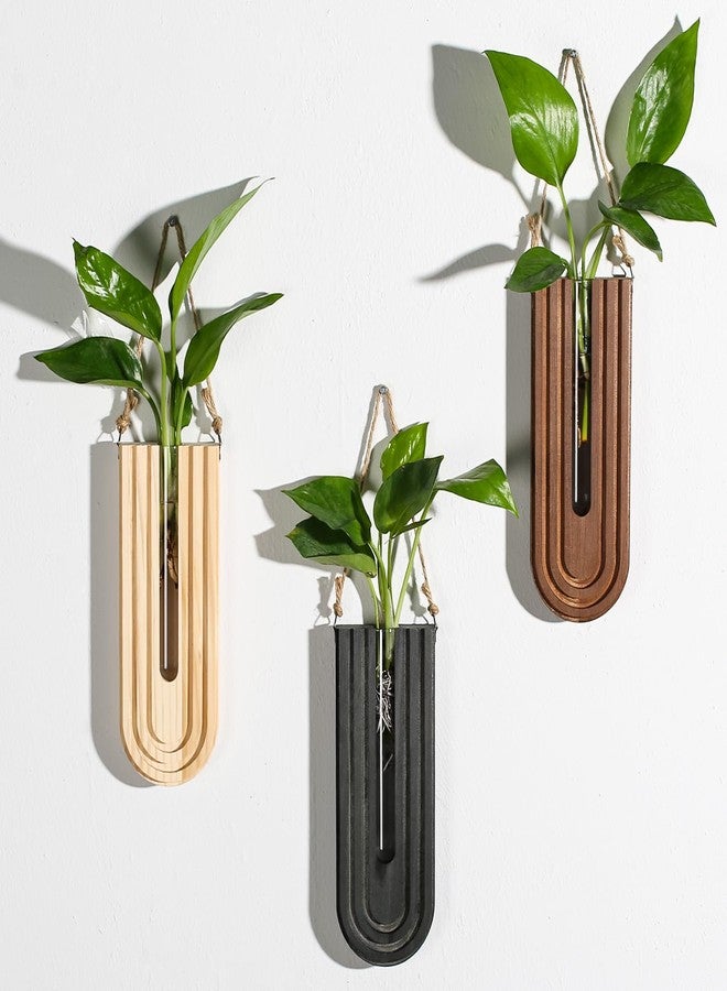 Dnnnii Indoor Wood Wall Planter Set of 3 for Plants - Boho Handmade Hanging Propagation Station with Curved Rainbow Design, Wall Mounted Vase for Flowers, Natural Home Decor Living Room Entryway - Image 1