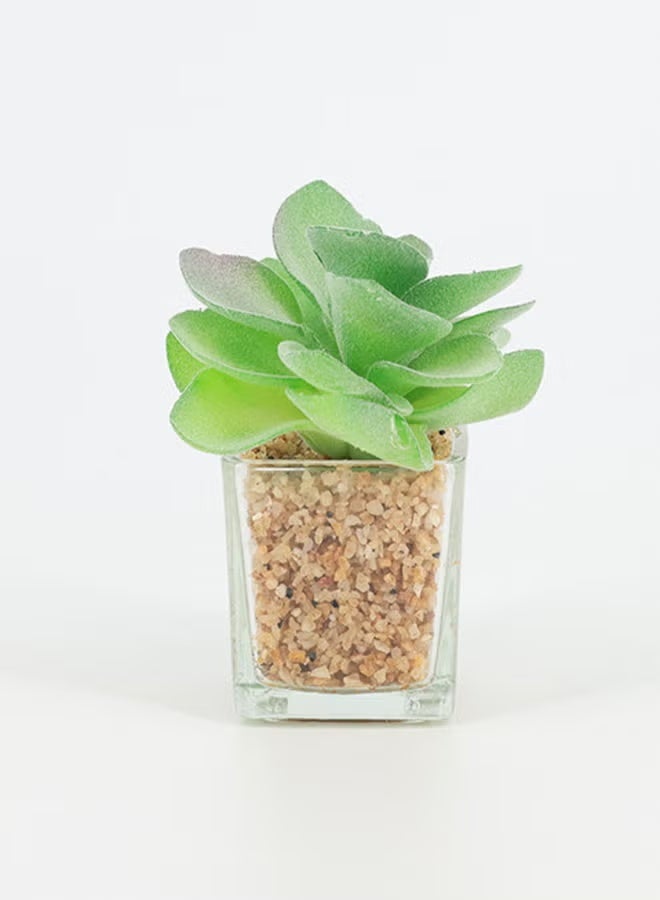 Rahalife Artificial Succulent Bonsai – Realistic Green Decorative Plants Pack of 2 - Image 1