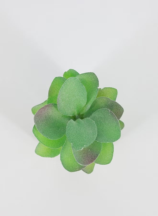 Rahalife Artificial Succulent Bonsai – Realistic Green Decorative Plants Pack of 2 - Image 2
