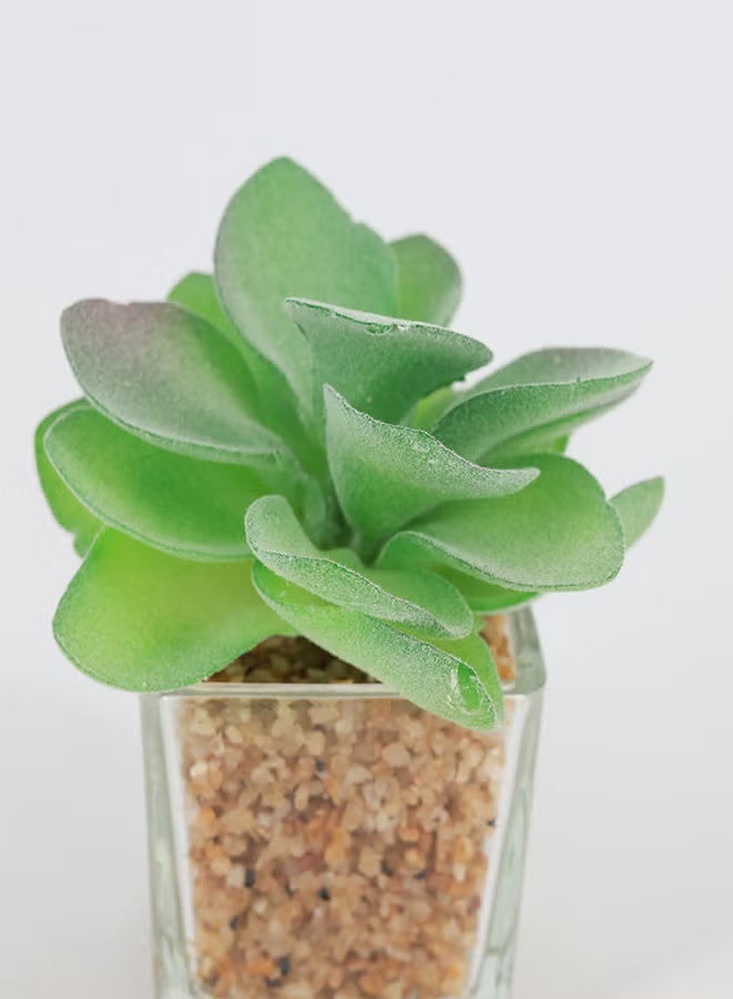Rahalife Artificial Succulent Bonsai – Realistic Green Decorative Plants Pack of 2 - Image 3