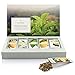 Tea Forte Single Steeps Loose Leaf Tea Sampler Assorted Variety Tea Box 15 Single Serve Pouches Green Tea - Image 4