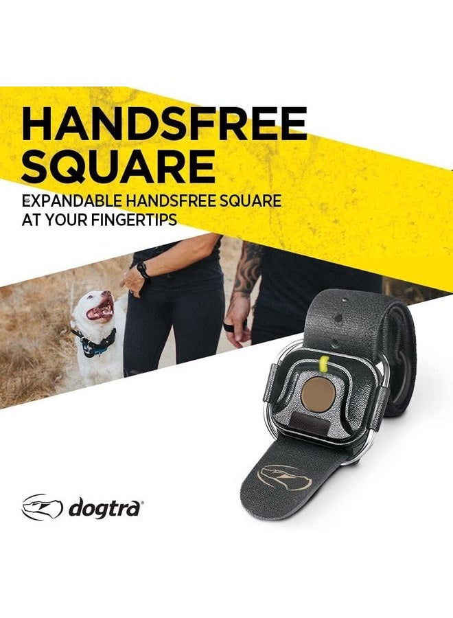 Dogtra جهاز تدريب الكلاب عن بُعد القابل للتوسيع HANDSFREE مربع للتحكم السري متوافق مع طرازات HANDSFREE Plus مع ضمان أمريكي - Image 2