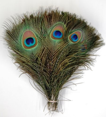 Achleshwar Real Full Length More Pankh|Peacock Feathers(Pack of 15)(30 Inch);Ach337 - Image 2