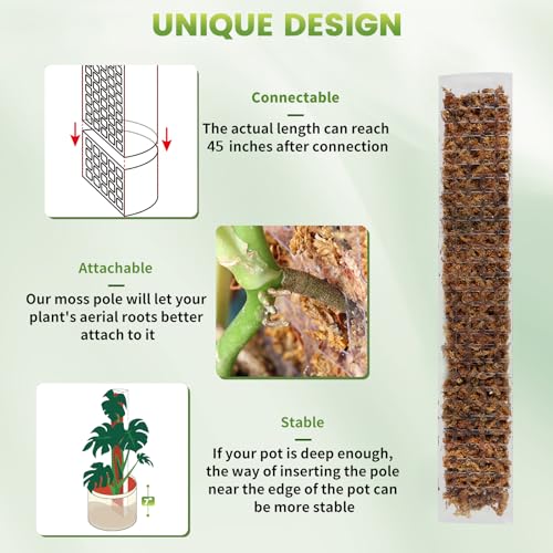 Bluepro 24 Inch 4 Pcs Plastic Moss Pole for Plants Monstera, 4×24'' Plant Poles for Climbing Plants, Plant Support for Indoor Plants Work with Sphagnum Moss - Image 3