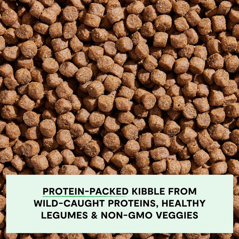 Open Farm, Grain-Free Dry Dog Food, Complete & Balanced Kibble, Sustainably & Ethically Sourced Ingredients, Non-GMO Veggies & Superfoods to Support Overall Health, Wild-Caught Salmon Recipe, 4lb Bag - Image 4