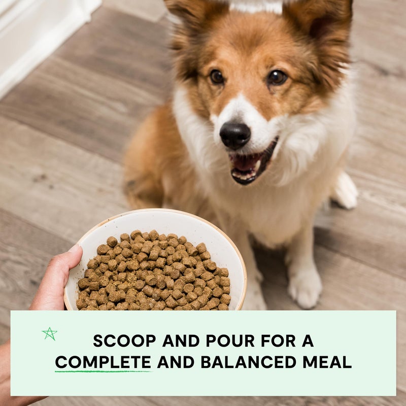 Open Farm, Grain-Free Dry Dog Food, Complete & Balanced Kibble, Sustainably & Ethically Sourced Ingredients, Non-GMO Veggies & Superfoods to Support Overall Health, Wild-Caught Salmon Recipe, 4lb Bag - Image 3
