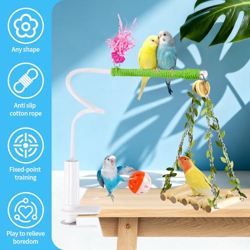 ZooVibe Bird Perch Stand with Swing Desktop Bird Toy Stand for Interacting Interactive Playground for Sun Conure Lovebirds Conure Budgie Cockatiel NonSlip Adjustable Perch - Image 3