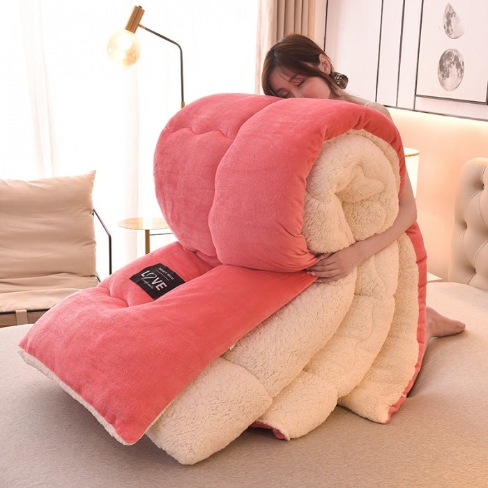 Popular Thickened Milk Velvet Quilt Warm Lamb Velvet Winter Quilt Coral Velvet Quilt Core Spring & Fall Quilt Dropshipping - Image 2