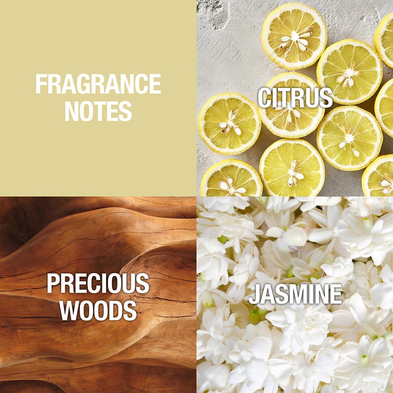 ALFRED SUNG عطر ألفريد سونغ للنساء، سونغ أو دو تواليت بخاخ، هدية لها، 3.4 أونصة سائلة - Image 3