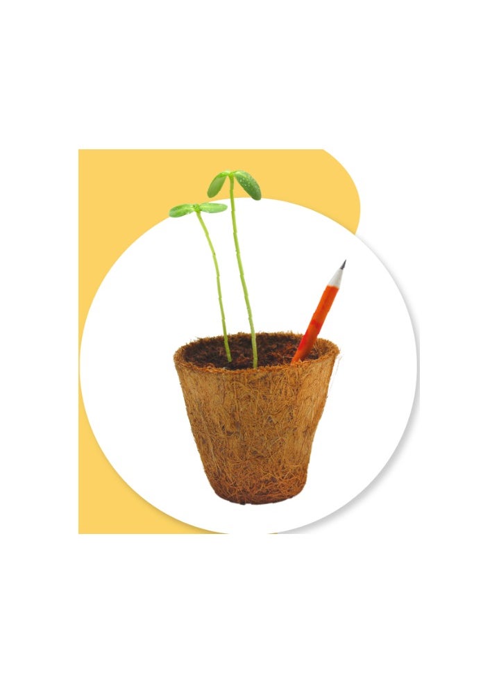 Buy Responsibly Buy Responsibly Earthling Kit with Plantable Seed Pencil Biodegradable | Eco Friendly Stationery with Seeds for School Kids and Adults, Nontoxic Seed Pencil Gift Box, Color Pencil  - Image 4