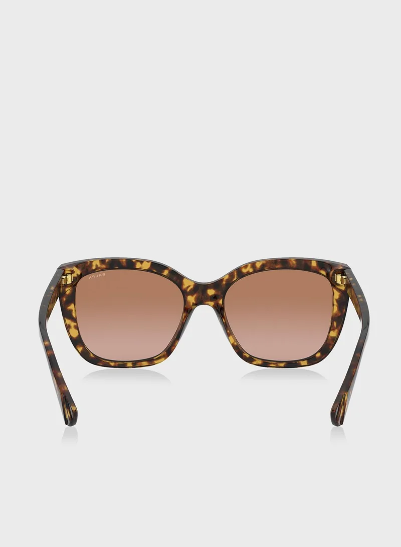 POLO RALPH LAUREN 0RA5265 Square Sunglasses