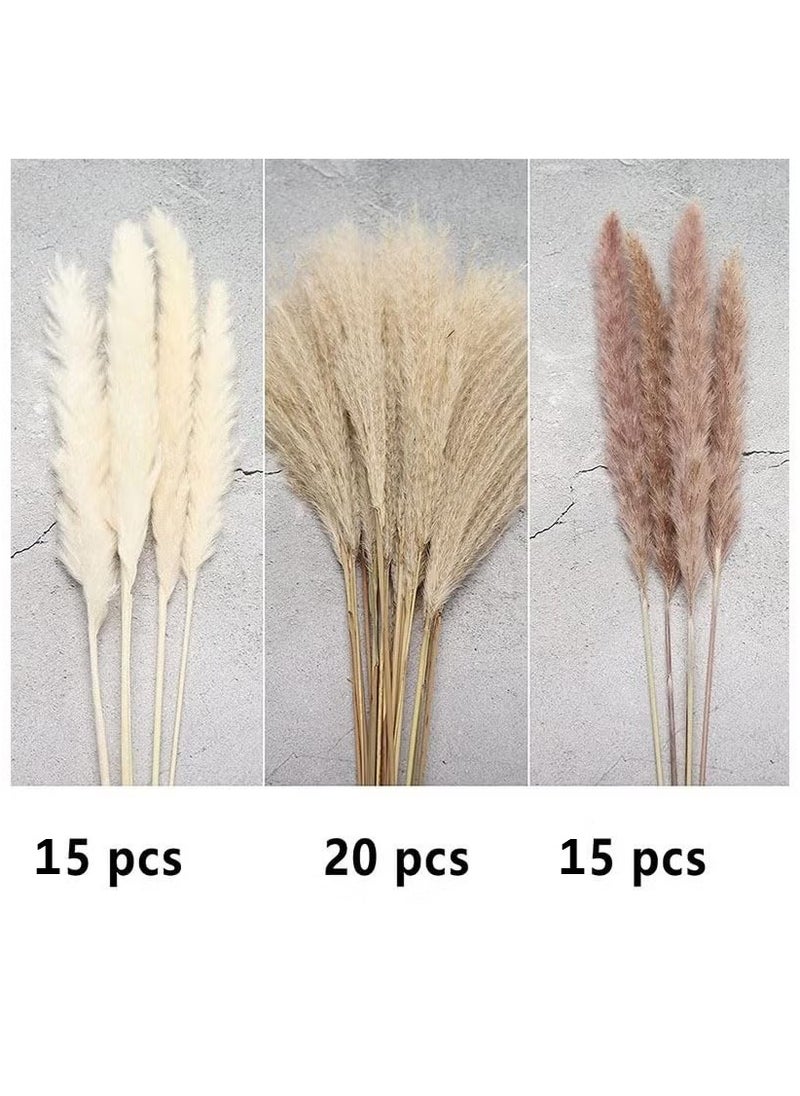 OMEVE Natural Dried Pampas Grass Bouquet Brown White Reed Pampas Floral Arrangements Decorations for Home Room Office Party Decor (60PCS)  - Image 5