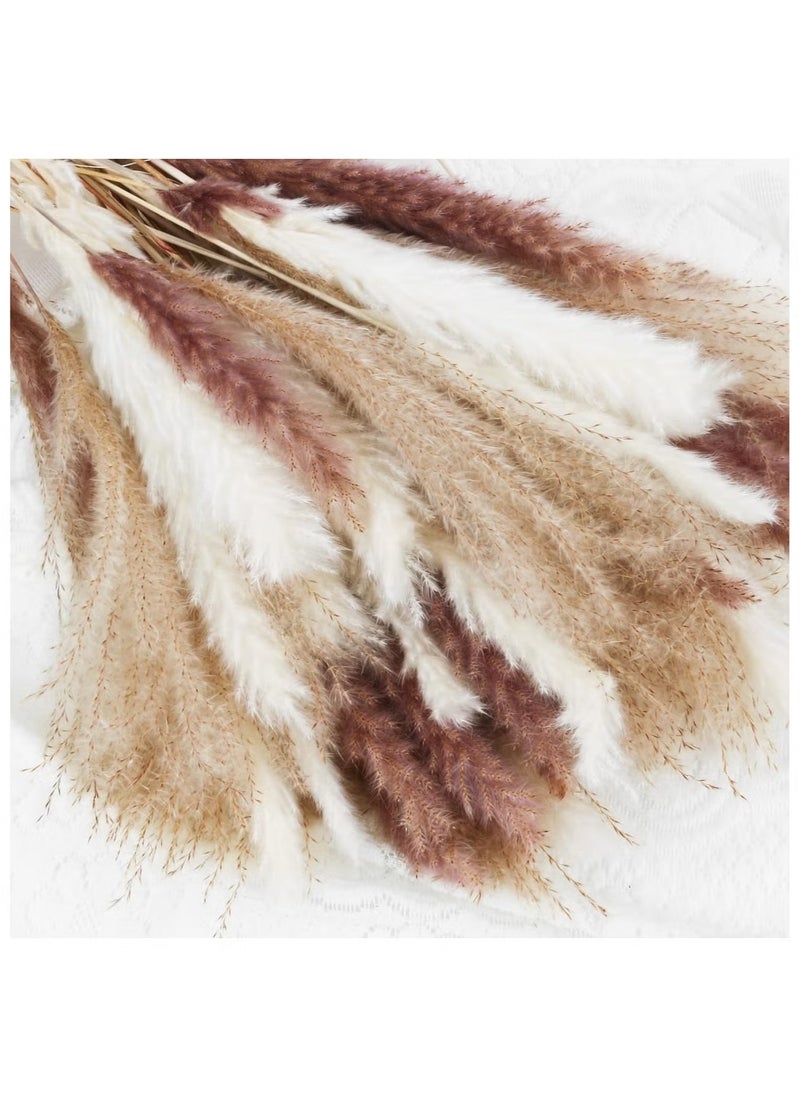 OMEVE Natural Dried Pampas Grass Bouquet Brown White Reed Pampas Floral Arrangements Decorations for Home Room Office Party Decor (60PCS)  - Image 2