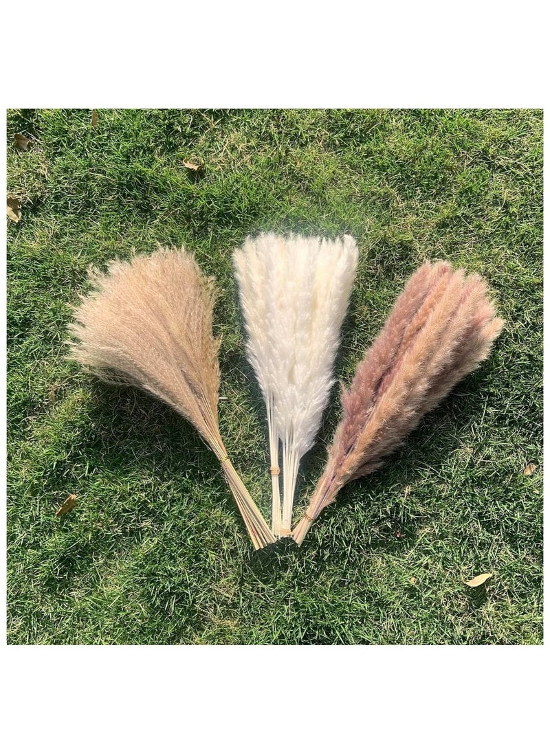 OMEVE Natural Dried Pampas Grass Bouquet Brown White Reed Pampas Floral Arrangements Decorations for Home Room Office Party Decor (60PCS)  - Image 4