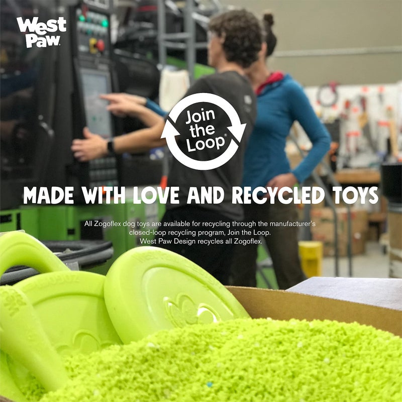 ويست باو لعبة قرص المضغ Zisc - Image 5