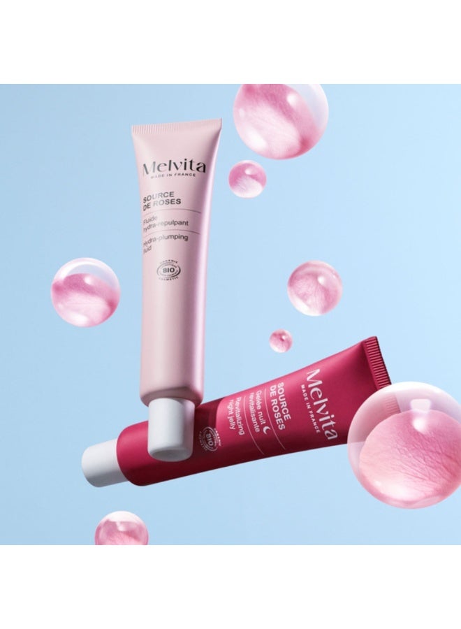 Melvita Source de Roses Gelée de Nuit Revitalisante Bio 40 ml - Image 3